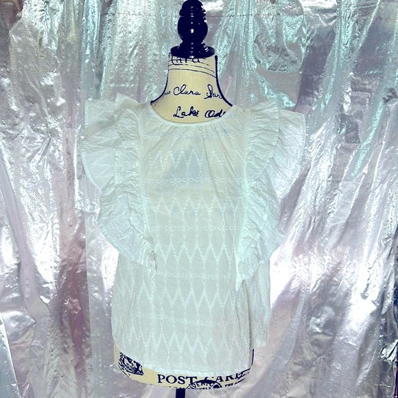 Universal Thread Embroidered Ruffle Sleeve Top - Picture 3 of 11